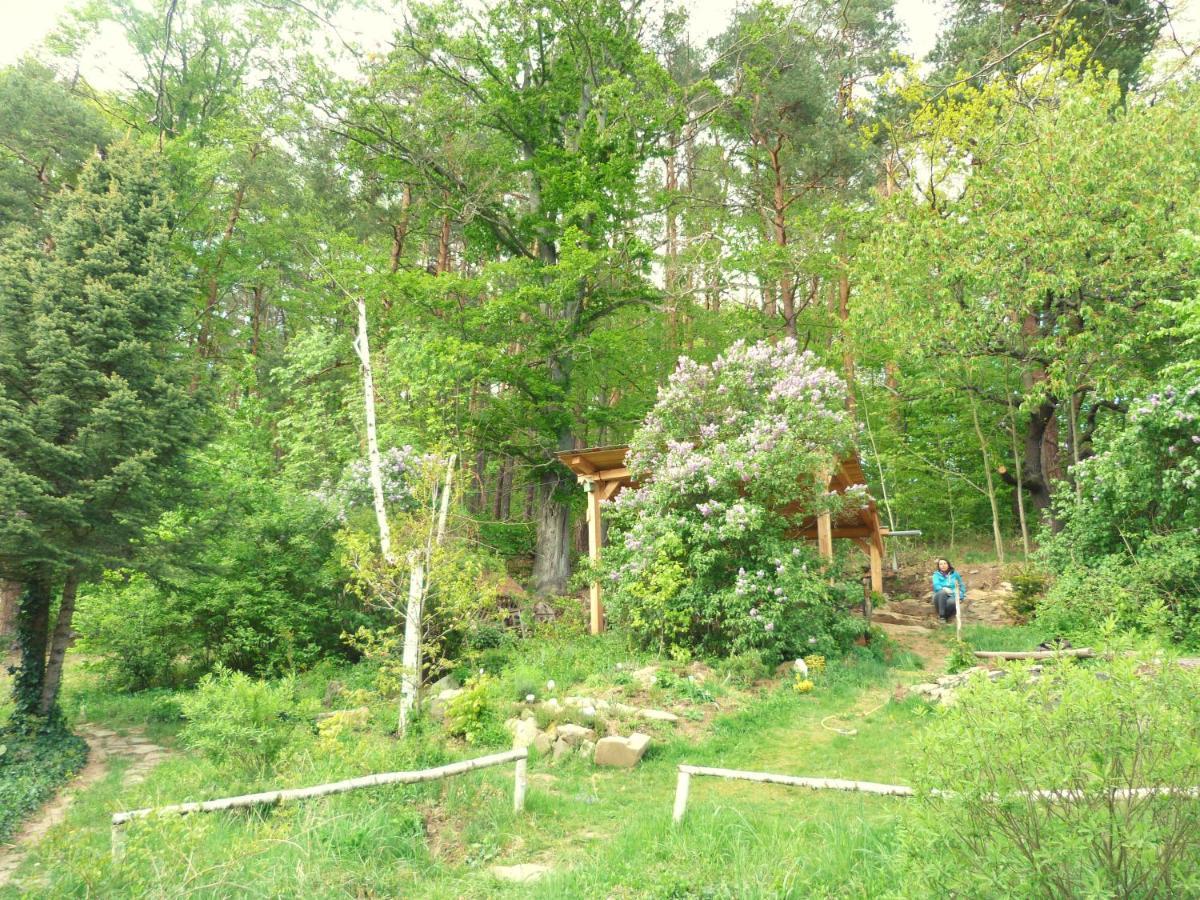 Ferienwohnung Chaloupka U Sv. Dyndy Nová Ves Exterior foto
